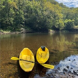 Meet your Posher, Laney